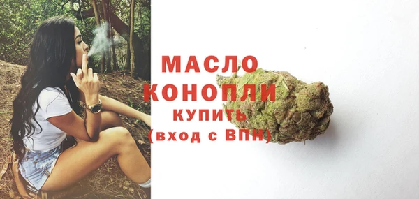 тгк Абаза