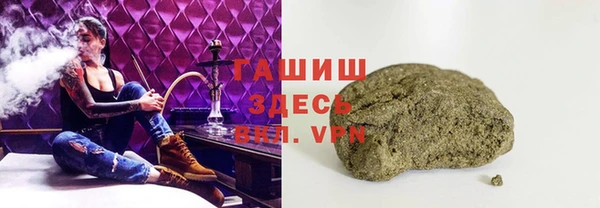 тгк Абаза