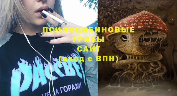тгк Абаза