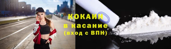 тгк Абаза
